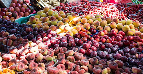 Fruit & Vegetable Wholesaler